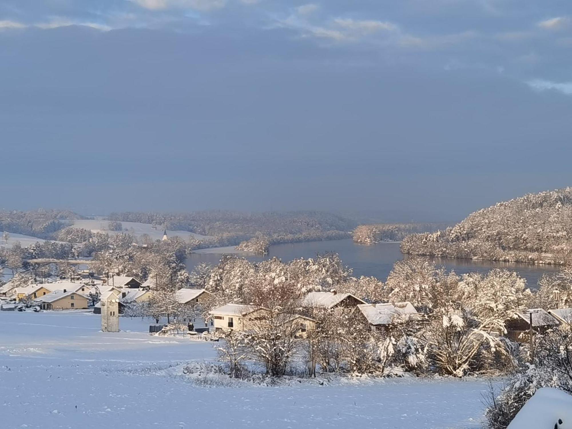 Апартаменты Mitterfelder Donaublick Фильсхофен-ан-дер-Донау Экстерьер фото